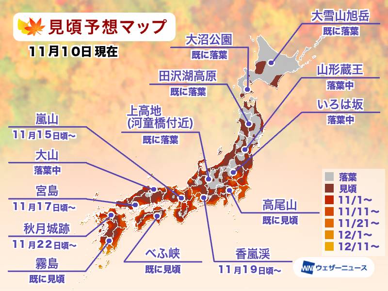 紅葉見頃予想2022　週末は高尾山（東京）、来週は嵐山（京都）も見頃に