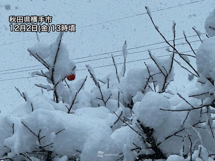 今日は東北で積雪が急増　明日は強い冷え込みで路面凍結注意