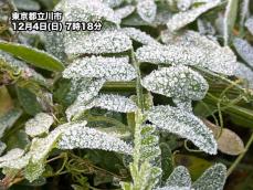 東京都心で「初霜」を観測　1988年以来34年ぶりの早さ