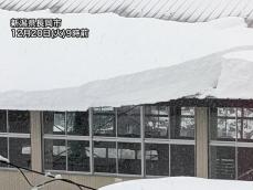 新潟市など12月では38年ぶりの大雪　峠越えるも引き続き警戒