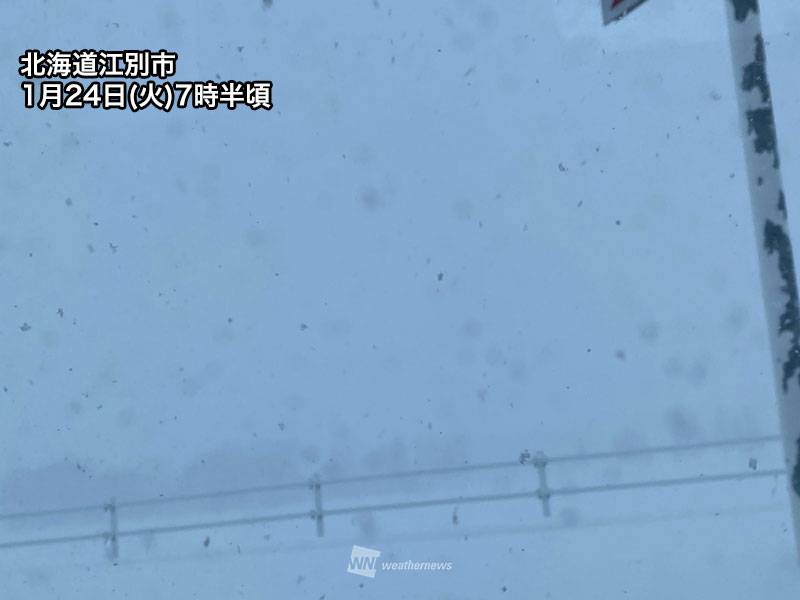 札幌など石狩湾周辺で雪が強まる　吹雪による視界不良に警戒
