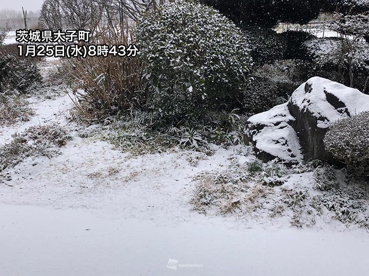 北関東で断続的に雪　昼頃にかけて積雪の増加に注意