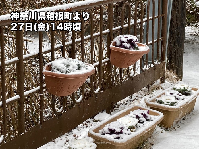 関東で雪や雨が降り出す　山沿いではうっすら積もるところも