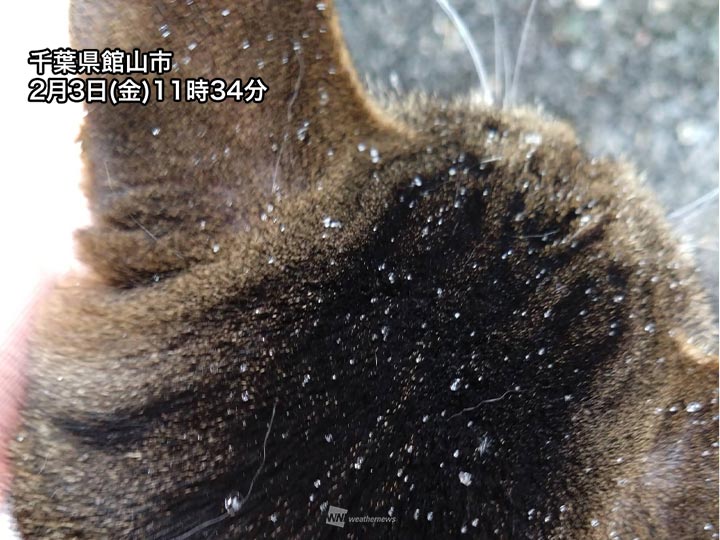 関東　房総半島や三浦半島で雪　夕方以降は雪の範囲が広がる可能性