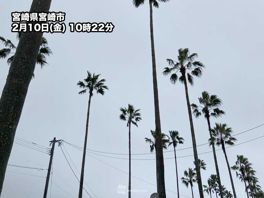 九州南部・奄美地方で「春一番」　暖かな南風　2月上旬の観測は10年ぶり