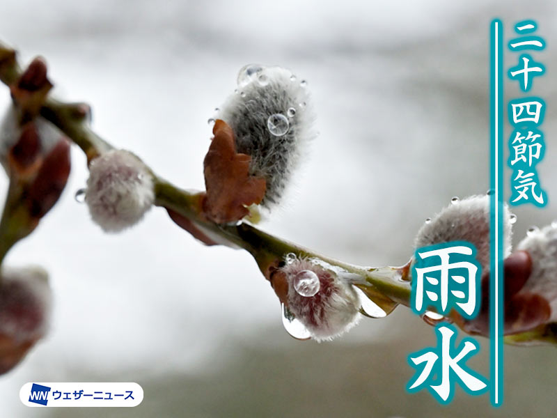 二十四節気「雨水」　雪が雨に変わり、春の気配が濃くなる頃