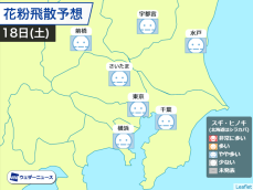 関東は花粉の飛散に注意　各地で&quot;やや多い&quot;予想