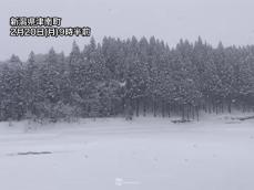 北海道に加え北陸でも雪が強まる　明日にかけて50cm以上の大雪に