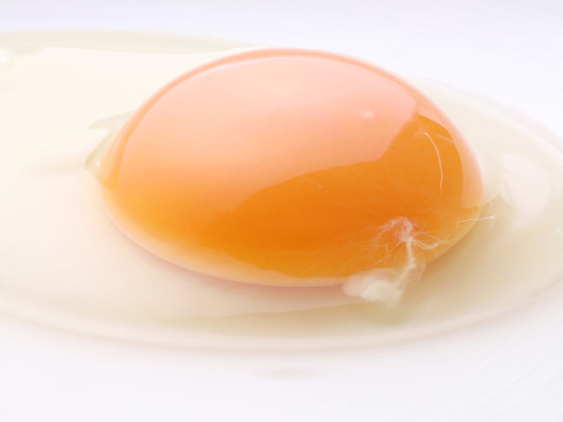 卵の白いヒモのようなモノ…、食べても大丈夫？ 捨てるともったいない？