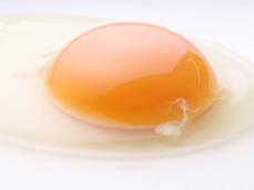 卵の白いヒモのようなモノ…、食べても大丈夫？ 捨てるともったいない？