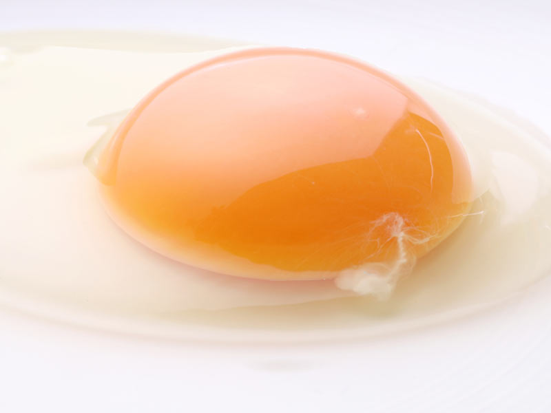 卵の白いヒモ､食べても大丈夫？