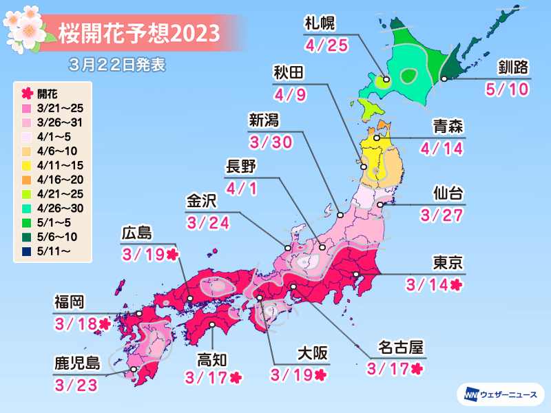 桜開花予想2023　来週にかけ満開ラッシュ　桜前線は東北へ