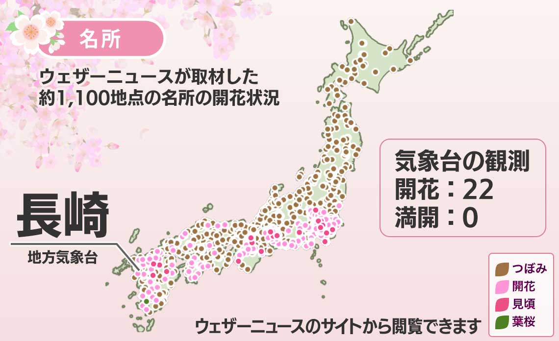 今日の桜前線 3月21日(火)　長崎でソメイヨシノ開花発表　満開はまだなし