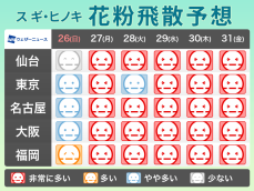 花粉飛散予想　明日は雨で落ち着く　来週は再び非常に多く