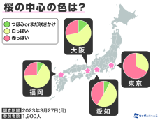 関東南部の桜は6割以上に「散るサイン」　お花見は早めに