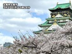 大阪や名古屋で桜は満開　夜桜見物は寒さ対策を