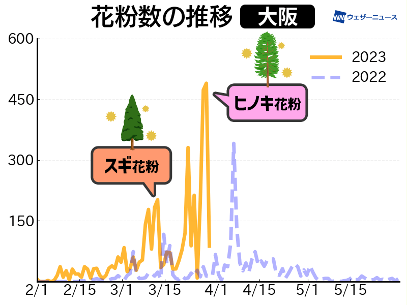 大阪府でヒノキ花粉が大量飛散　スギ花粉ピーク時の約2倍も