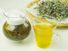 簡単！ 春の野草「よもぎ」茶の作り方&amp;残った茶葉の活用法