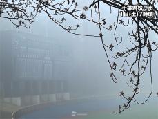 千葉・茨城で濃霧発生　車の運転など視界不良に注意
