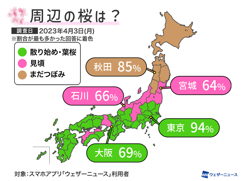 今まさに北陸〜東北南部が見頃　東京は94%が散り始め・葉桜に