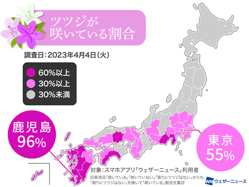 早くもツツジ咲く　東京でも55%が開花