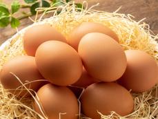 卵の旬は春？　新鮮な卵を見分けるポイント