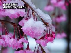 北日本や北陸で久々の雪降る朝　山形では満開の桜に積雪