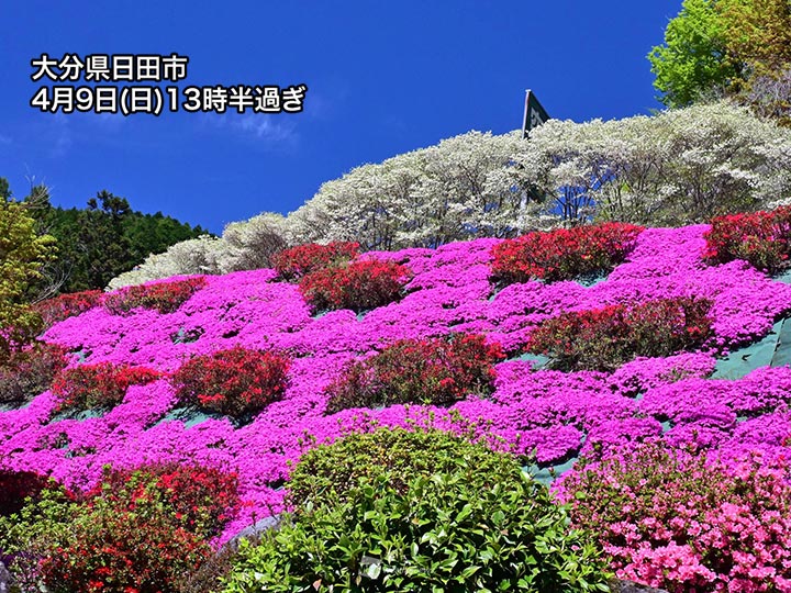 関東以西は色濃い花々の季節　3月以降の暖かさで例年より早めに