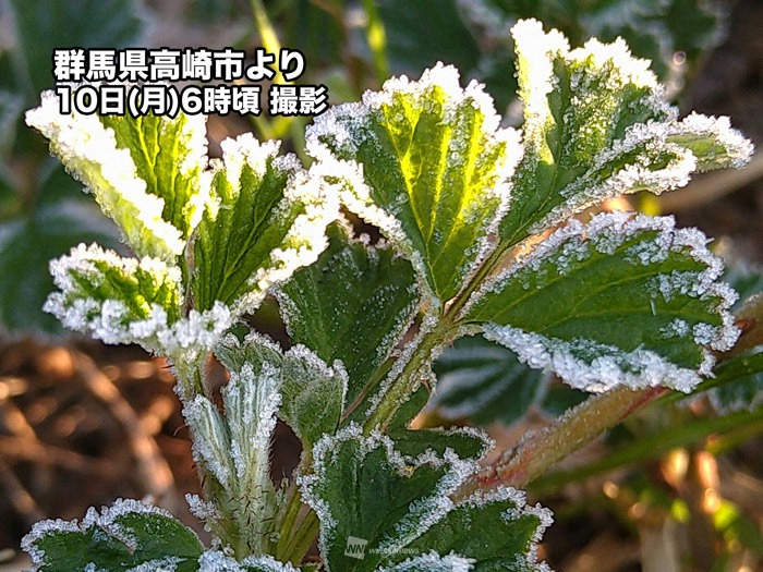今朝は冷え込み関東でも霜降りる　昼は気温上昇で一日の気温差注意