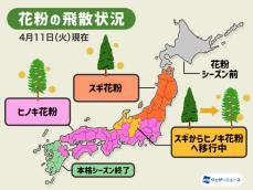 西日本、東日本の花粉は来週にもピーク越え　3月までの飛散量は昨年比2.6倍