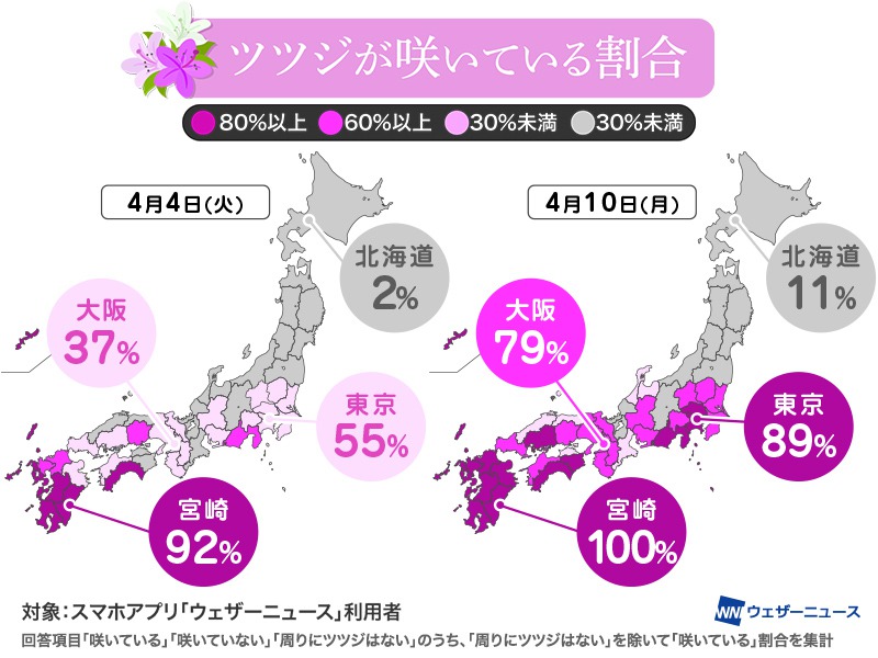早くもツツジが見頃に　東京でも89%が開花