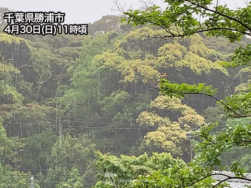 東日本や北日本は所々で強い雨　関東は風も強く横殴りに