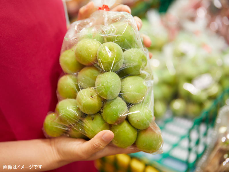 今年の梅は近年でベストの出来？　6月のお買い得が分かる“食材予報”