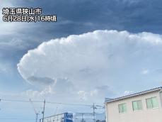 関東北部で「かなとこ雲」が出現　ゲリラ雷雨に注意