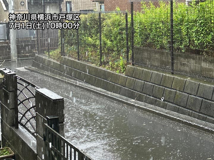 関東の広い範囲で本降りの雨　神奈川や千葉では土砂降りの所も