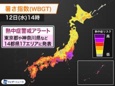 東京都や神奈川県など14都県17エリアに熱中症警戒アラート（今日12日(水)対象）