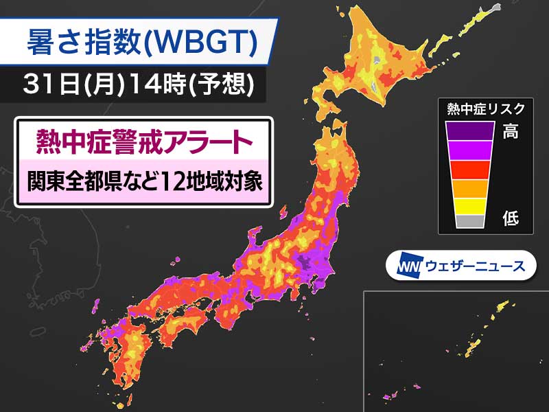 関東全都県など12地域に熱中症警戒アラート（明日31日(月)対象）