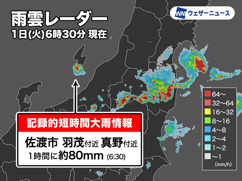 新潟県で1時間に約80mmの猛烈な雨　記録的短時間大雨情報