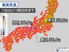 西日本を中心に連日の危険な暑さ　関東南部は日差しが届き蒸し暑い