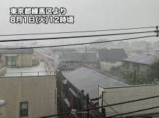 東京23区を発達した雨雲が通過中　ゲリラ雷雨に