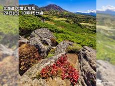 大雪山旭岳の紅葉が見頃に　夏から続いた高温で色付き遅れる