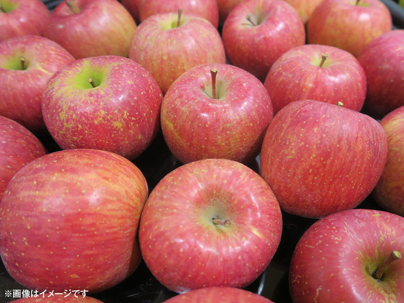 今年のリンゴも猛暑の影響が!?　10月に高値となる野菜、お手頃な野菜とは？