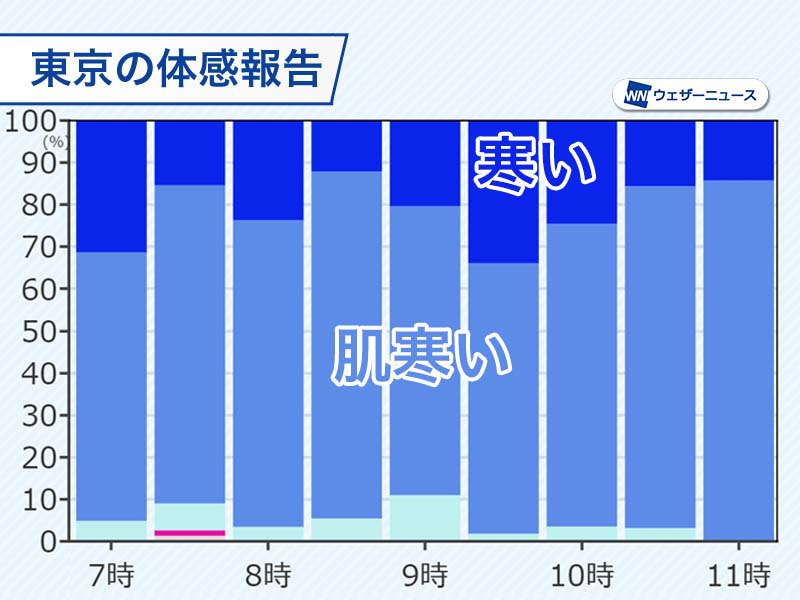 関東は朝から冷たい雨で寒いくらいに　午後も20℃には届かず