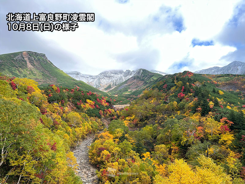 紅葉と雪山のコラボレーション　北海道の十勝岳(凌雲閣周辺)で見頃