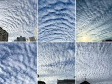 東京など関東南部の空にうろこ雲やひつじ雲　今日は秋の穏やかな空に