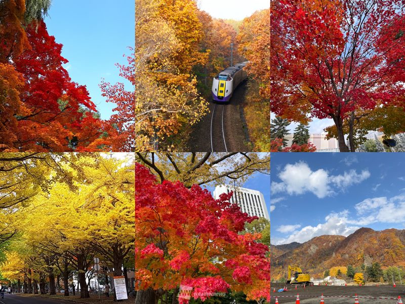 北海道は錦秋の週末　札幌市内でも紅葉が見頃に