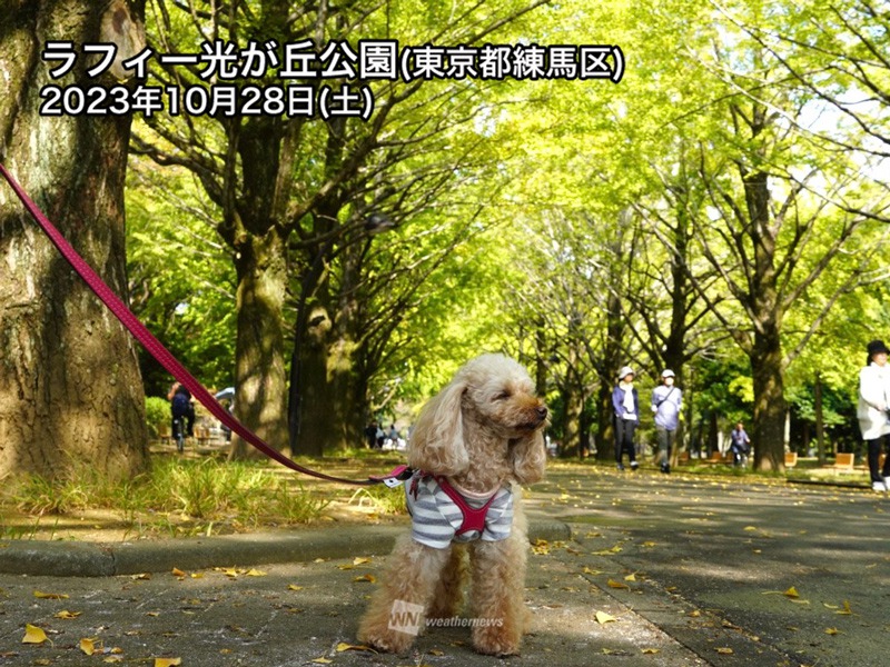 東京は過ごしやすい週末　8割が「ちょうどいい」体感