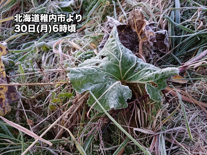 札幌や稚内で初霜観測の冷えた朝　稚内では初氷も観測