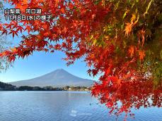紅葉　週末に見頃のスポット　東京の奥多摩湖や高尾山山頂で色づく