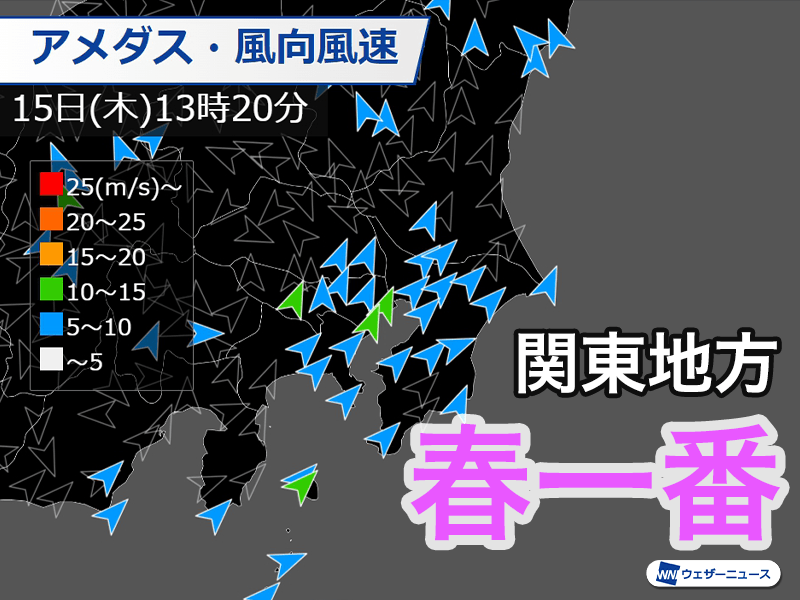 関東地方で春一番　昨年より2週間早い春の便りに